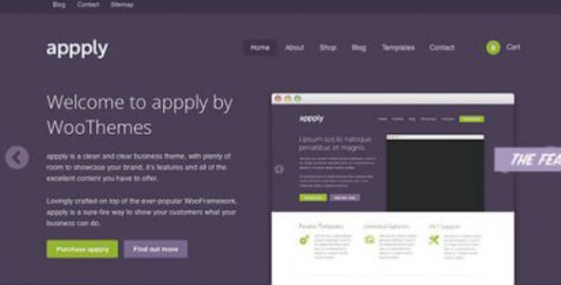 Discover the WooThemes Appply Premium Theme