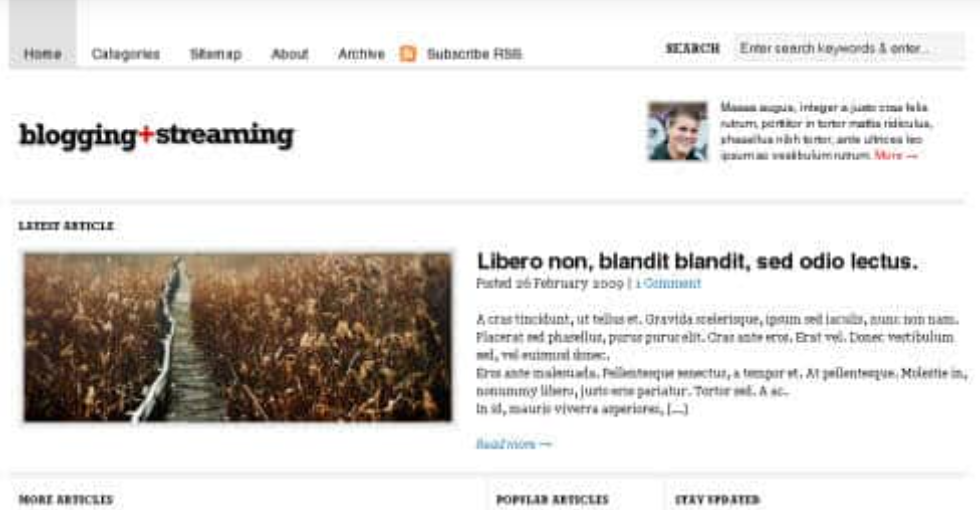 Discover the WooThemes Blogging Stream Premium Theme