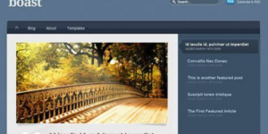 Discover the WooThemes Boast Premium Theme