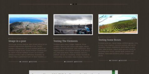 Discover the WooThemes Buro Premium Theme