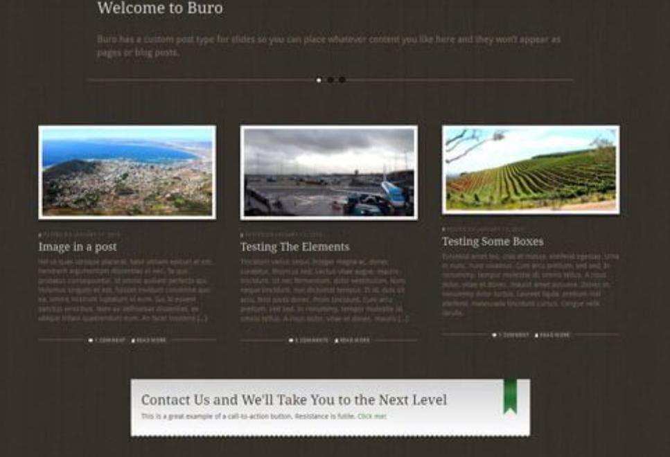 Discover the WooThemes Buro Premium Theme