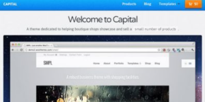 Discover WooThemes Capital Premium Theme