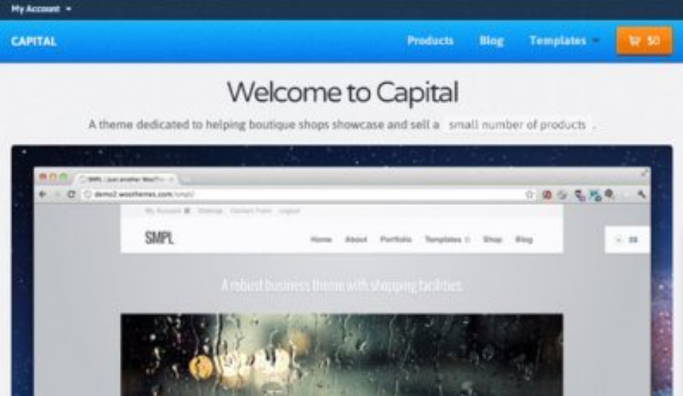 Discover WooThemes Capital Premium Theme