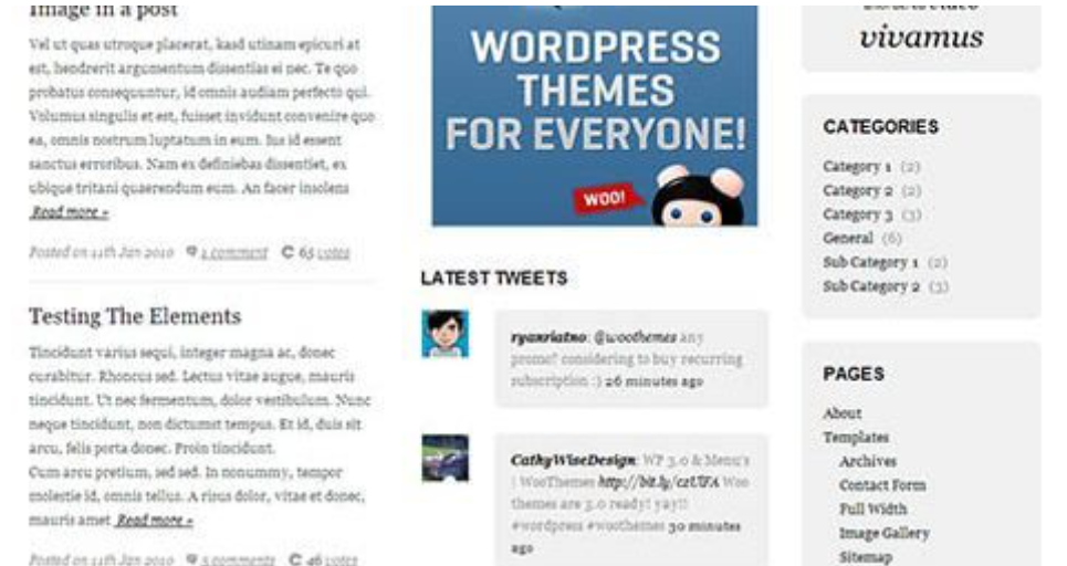 Discover WooThemes Coda Premium Theme