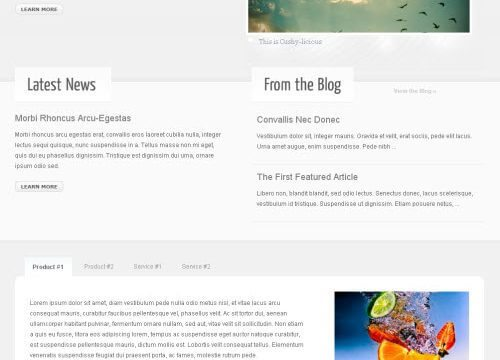 Discover WooThemes Cushy Premium Theme