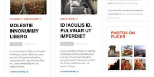 Discover the WooThemes Daily Edition Premium Theme