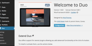 Discover WooThemes Duo Premium Theme