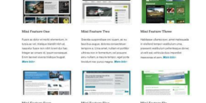 Discover WooThemes Feature Pitch Premium Theme