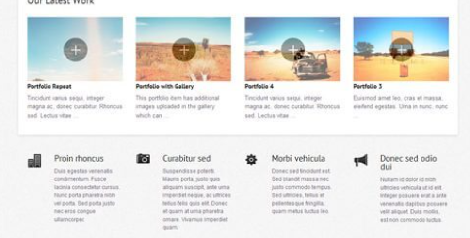 Discover the WooThemes Olya Premium Theme