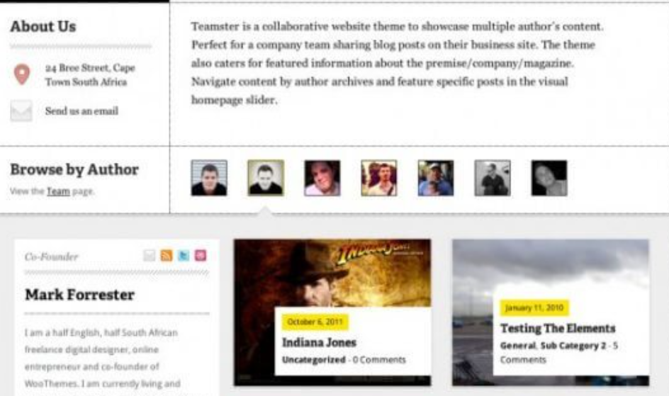 Discover the WooThemes Teamster Premium Theme