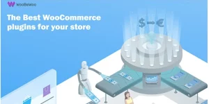 This is the Pro add-on for the Currency Switcher plugin. Woocurrency by Woobewoo PRO allows the customers of your WooCommerce store to switch products prices easily to any currencies and get their rates converted in real-time! You can convert any currency you require and add as many currencies as you…