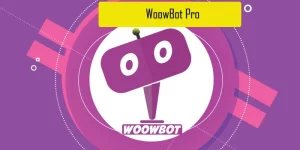 WoowBot is an advanced WooCommerce ChatBot. You can make this plug n’ play ChatBot to work with any language and also integrate with the Google’s DialogFlow. Shoppers can converse with the bot