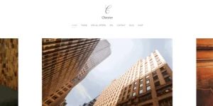 Discover the YOOTHEME Chester WordPress theme