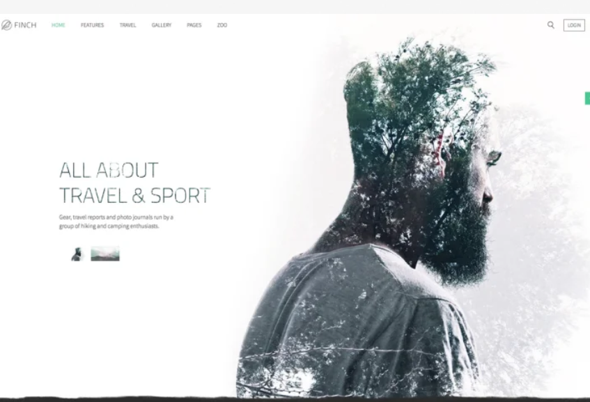 Discover the YOOTHEME Finch WordPress Theme