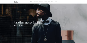 Discover the YOOTHEME FUSE WordPress Theme