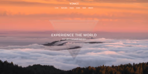 Discover the YOOTHEME Venice WordPress Theme