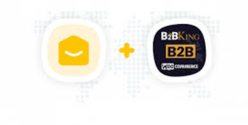 This is YayMail Addon for B2BKing (by WebWizards)