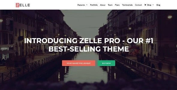 Zerif Pro is a one-page premium theme for WordPress with elegant parallax scrolling