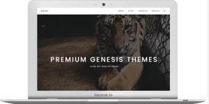 Discover the ZigZagPress Dune WordPress Theme