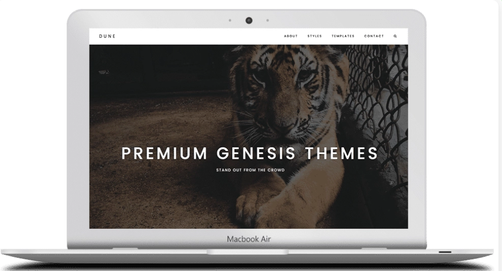 Discover the ZigZagPress Dune WordPress Theme