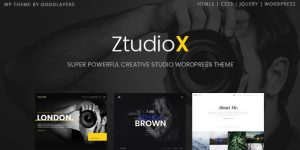 Showcase your photography portfolio with the ZTudio X Creative Studio WordPress Theme. Professional