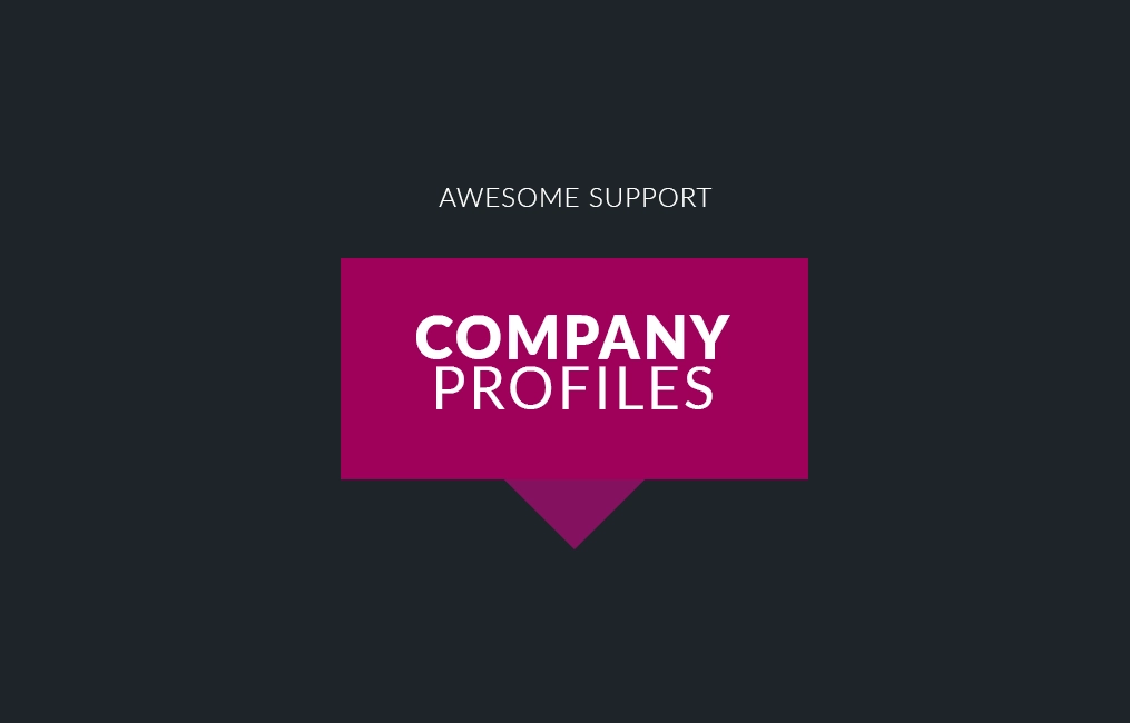 Company profiles allow MULTIPLE users from within the same company to open