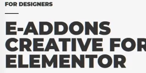 A collection of fascinating solutions that e-addons offers you as widgets and extensions with a high creative rate. Free your imagination