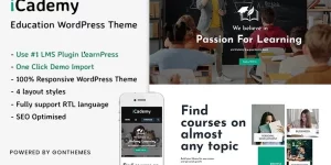 iCademy is an education WordPress theme with a creative