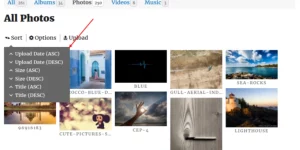 Users can sort their media in ascending (ASC) and descending (DESC) order based on Upload Date
