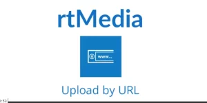 Save your users time by allowing them to upload media files to your site directly from a URL.